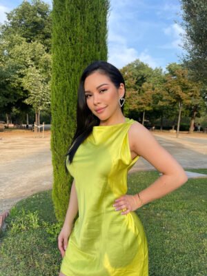 HiddenXperience Model