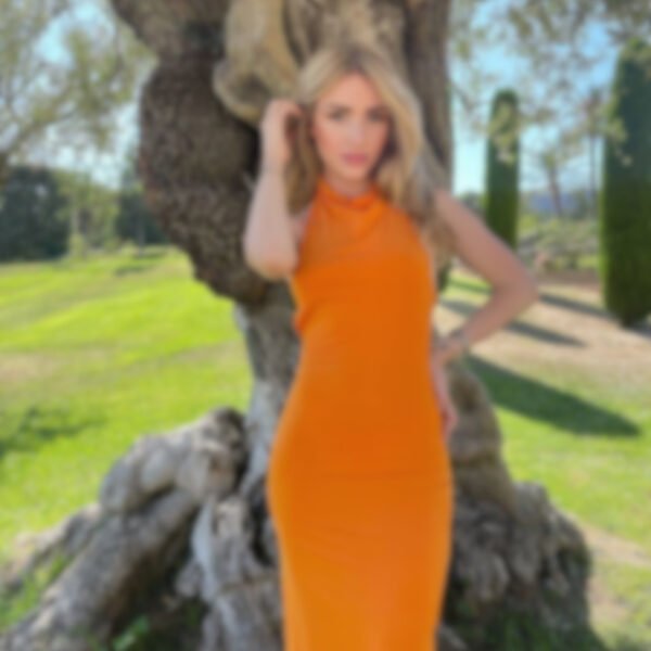 Hiddenxperience Model